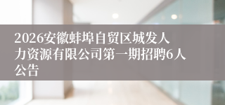 2026安徽蚌埠自贸区城发人力资源有限公司第一期招聘6人公告