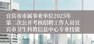 宜宾市市属事业单位2025年第二次公开考核招聘工作人员宜宾市卫生科教信息中心专业技能考核成绩公示