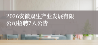 2026安徽双生产业发展有限公司招聘7人公告