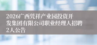 2026广西凭祥产业园投资开发集团有限公司职业经理人招聘2人公告