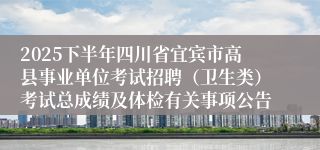 2025下半年四川省宜宾市高县事业单位考试招聘(卫生类)考试总成绩及体检有关事项公告