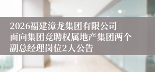 2026福建漳龙集团有限公司面向集团竞聘权属地产集团两个副总经理岗位2人公告