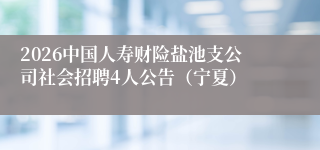 2026中国人寿财险盐池支公司社会招聘4人公告（宁夏）