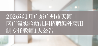 2026年1月广东广州市天河区广氮实验幼儿园招聘编外聘用制专任教师1人公告