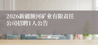 2026新疆额河矿业有限责任公司招聘1人公告