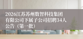 2026江苏苏州数智科技集团有限公司下属子公司招聘34人公告（第一批）