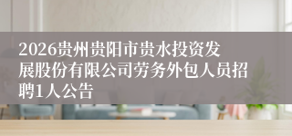 2026贵州贵阳市贵水投资发展股份有限公司劳务外包人员招聘1人公告