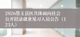 2026墨玉县医共体面向社会公开招录就业见习人员公告（123人）