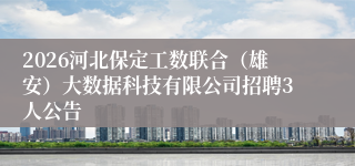 2026河北保定工数联合(雄安)大数据科技有限公司招聘3人公告