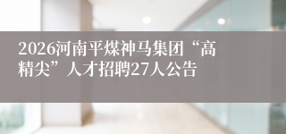 2026河南平煤神马集团“高精尖”人才招聘27人公告