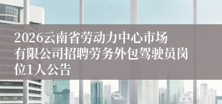 2026云南省劳动力中心市场有限公司招聘劳务外包驾驶员岗位1人公告