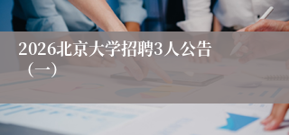 2026北京大学招聘3人公告(一)