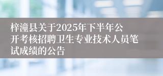 梓潼县关于2025年下半年公开考核招聘卫生专业技术人员笔试成绩的公告
