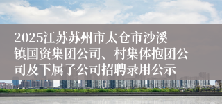 2025江苏苏州市太仓市沙溪镇国资集团公司、村集体抱团公司及下属子公司招聘录用公示