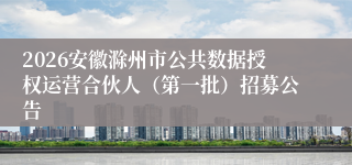 2026安徽滁州市公共数据授权运营合伙人(第一批)招募公告