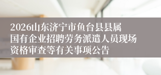 2026山东济宁市鱼台县县属国有企业招聘劳务派遣人员现场资格审查等有关事项公告