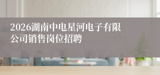 2026湖南中电星河电子有限公司销售岗位招聘