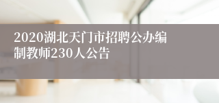 2020湖北天门市招聘公办编制教师230人公告