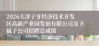 2026天津子牙经济技术开发区高新产业园发展有限公司及下属子公司招聘总成绩