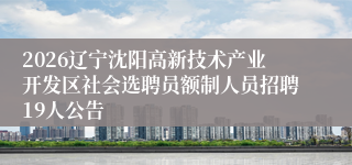 2026辽宁沈阳高新技术产业开发区社会选聘员额制人员招聘19人公告