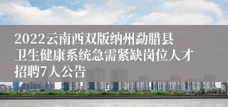 2022云南西双版纳州勐腊县卫生健康系统急需紧缺岗位人才招聘7人公告