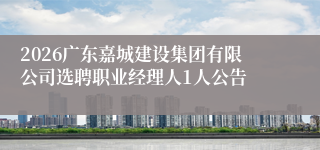 2026广东嘉城建设集团有限公司选聘职业经理人1人公告