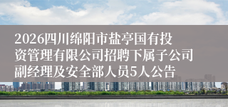 2026四川绵阳市盐亭国有投资管理有限公司招聘下属子公司副经理及安全部人员5人公告