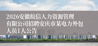 2026安徽皖信人力资源管理有限公司招聘安庆市某电力外包人员1人公告