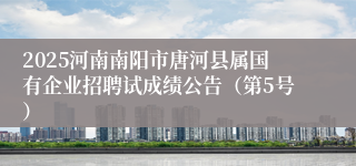 2025河南南阳市唐河县属国有企业招聘试成绩公告(第5号)