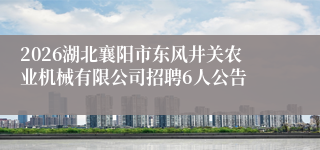 2026湖北襄阳市东风井关农业机械有限公司招聘6人公告