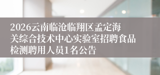 2026云南临沧临翔区孟定海关综合技术中心实验室招聘食品检测聘用人员1名公告
