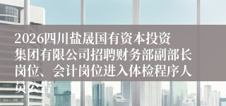 2026四川盐晟国有资本投资集团有限公司招聘财务部副部长岗位、会计岗位进入体检程序人员公告