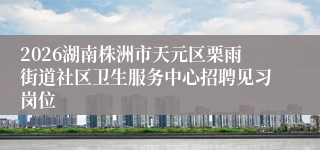 2026湖南株洲市天元区栗雨街道社区卫生服务中心招聘见习岗位