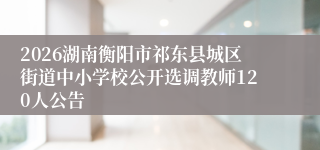 2026湖南衡阳市祁东县城区街道中小学校公开选调教师120人公告