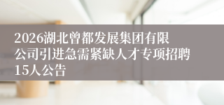 2026湖北曾都发展集团有限公司引进急需紧缺人才专项招聘15人公告