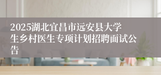 2025湖北宜昌市远安县大学生乡村医生专项计划招聘面试公告