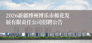 2026新疆博州博乐市棉花发展有限责任公司招聘公告