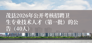 茂县2026年公开考核招聘卫生专业技术人才（第一批）的公告（40人）