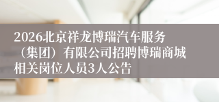 2026北京祥龙博瑞汽车服务（集团）有限公司招聘博瑞商城相关岗位人员3人公告