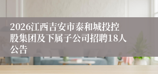 2026江西吉安市泰和城投控股集团及下属子公司招聘18人公告