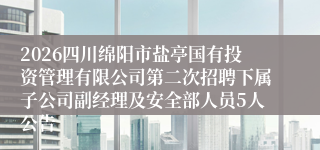 2026四川绵阳市盐亭国有投资管理有限公司第二次招聘下属子公司副经理及安全部人员5人公告