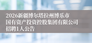 2026新疆博尔塔拉州博乐市国有资产投资控股集团有限公司招聘1人公告