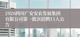 2026四川广安安农发展集团有限公司第一批次招聘11人公告