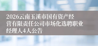 2026云南玉溪市国有资产经营有限责任公司市场化选聘职业经理人4人公告