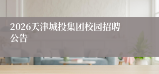 2026天津城投集团校园招聘公告