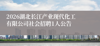 2026湖北长江产业现代化工有限公司社会招聘1人公告