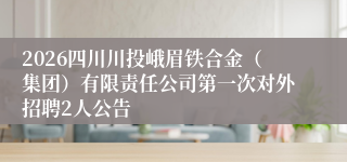 2026四川川投峨眉铁合金（集团）有限责任公司第一次对外招聘2人公告