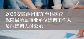 2025安徽池州市东至县医疗保障局所属事业单位选调工作人员拟选调人员公示