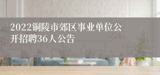 2022铜陵市郊区事业单位公开招聘36人公告