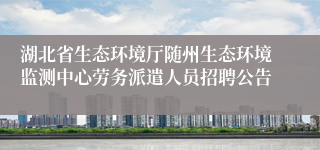 湖北省生态环境厅随州生态环境监测中心劳务派遣人员招聘公告